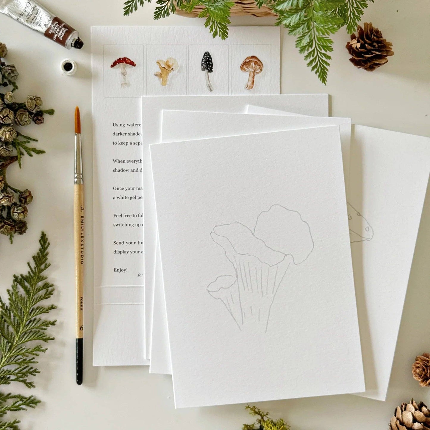 Emily Lex Studio - Mushrooms Paintable Watercolor Notecard Set