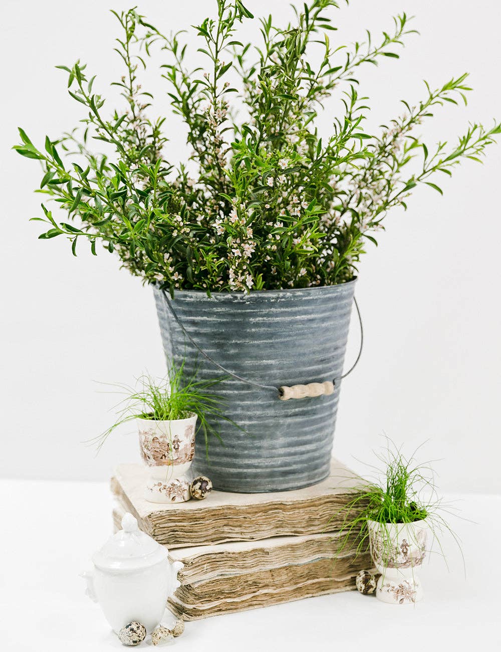 Amy Howard at Home : Zinc Antiquing Solution