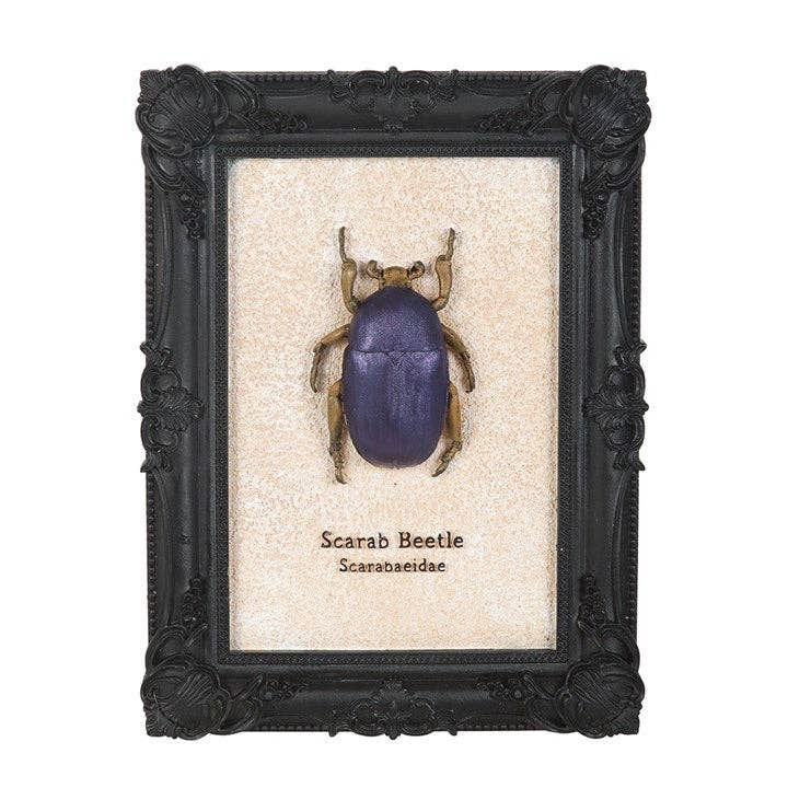 Something Different Wholesale Gothic Scarab Beetle Framed 3D Wall Art