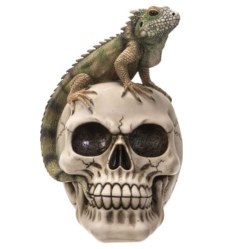 Iguana On Skull - 7.09"