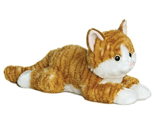Aurora : Chester the Orange Tabby Cat