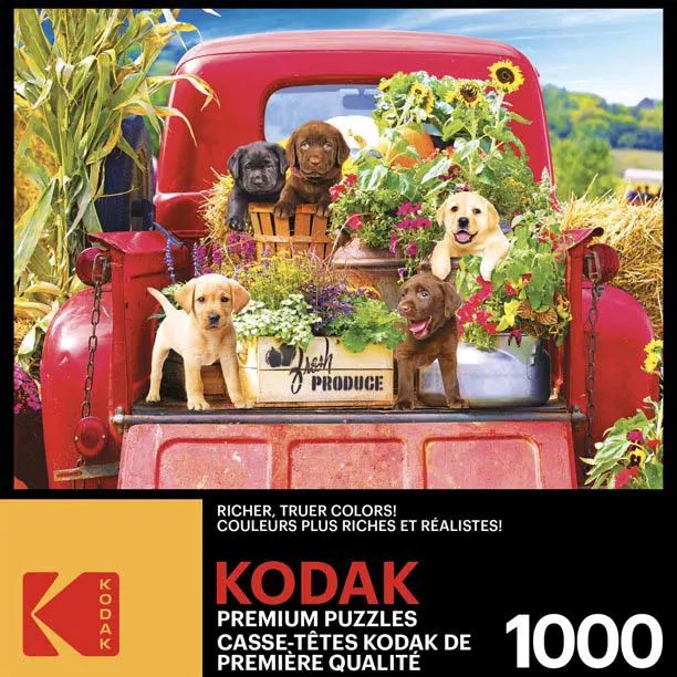Kodak - Stowaways 1000 Piece Jigsaw Puzzle