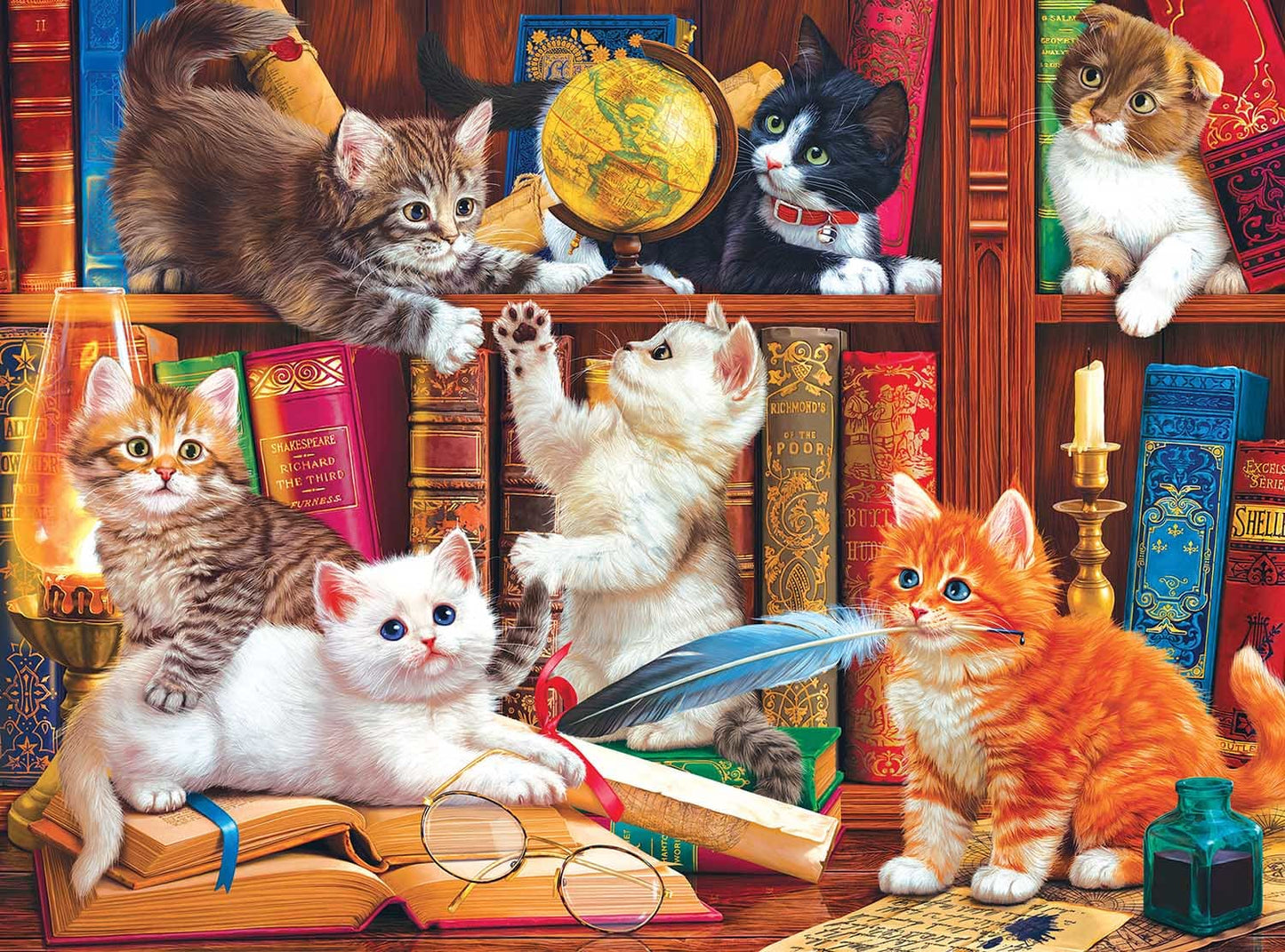 Kodak Premium Puzzle - Library Mischief Puzzle 1000 pc