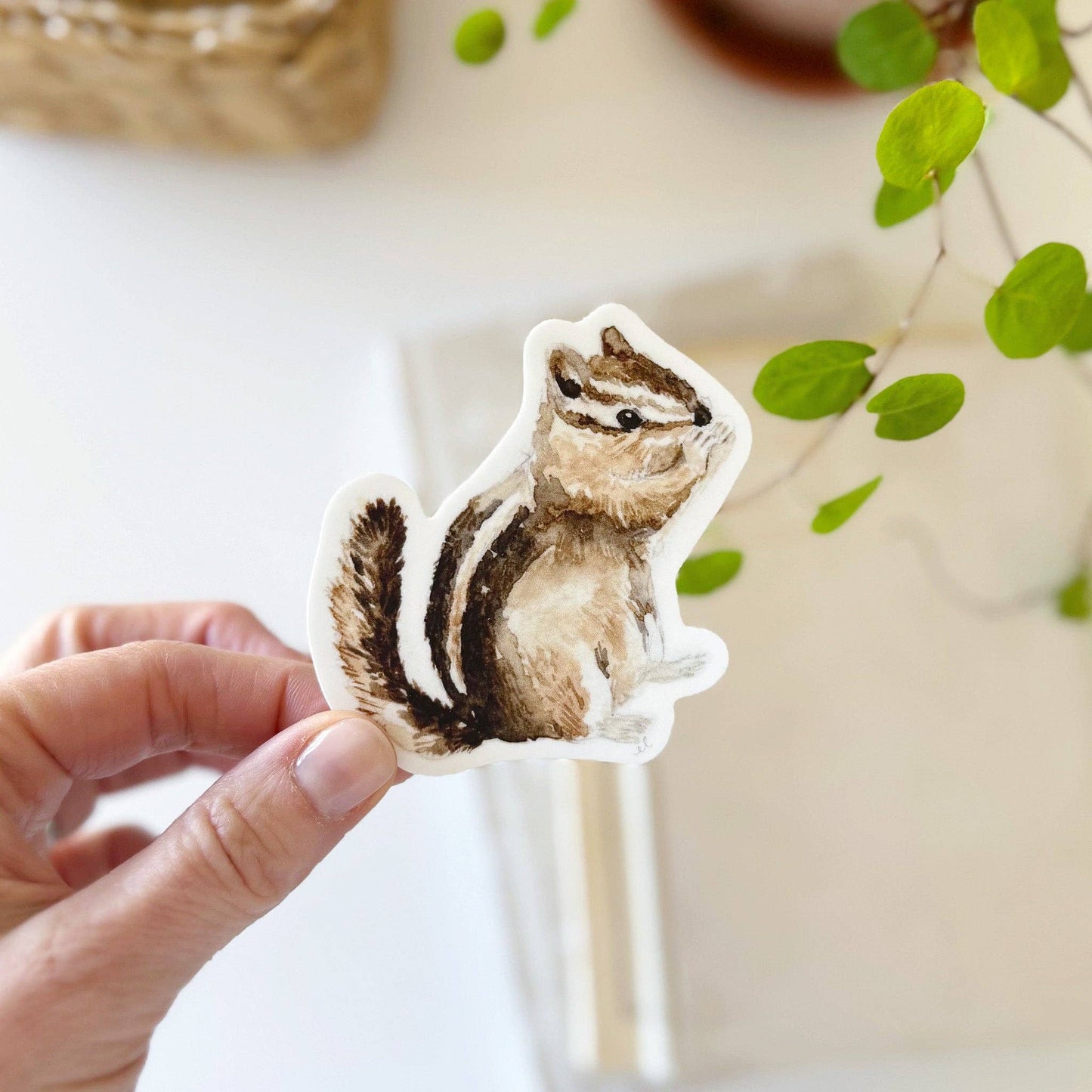 Emily Lex : Chipmunk Sticker