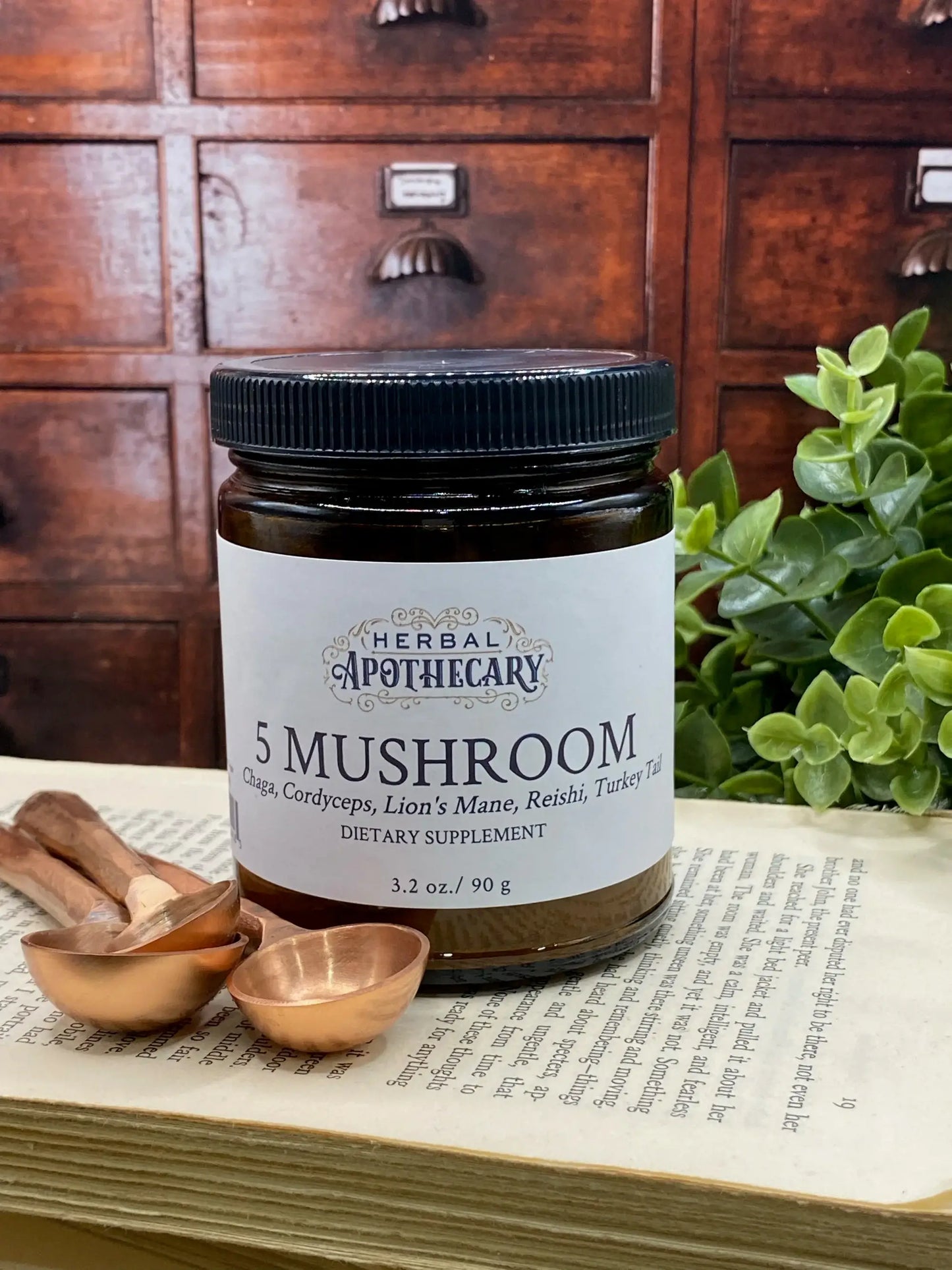 Herbal Apothecary : 5 Mushroom Blend (90g)