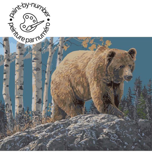 Diamond Brands - PAINT-BY-NUMBER KIT Aspen Mountain Grizzly by Jeff Hoff