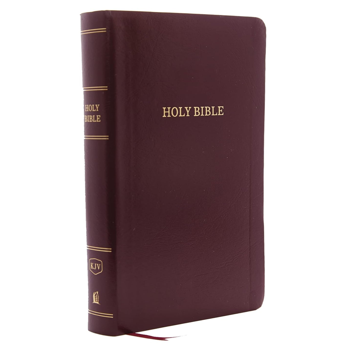 KJV Personal Size Giant Print Holy Bible