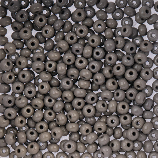 Czech Seed Beads 6/0 22g