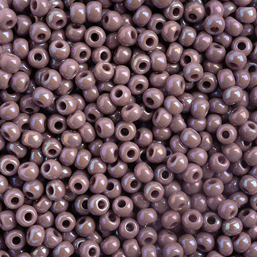 Czech Seed Beads 10/0 22g