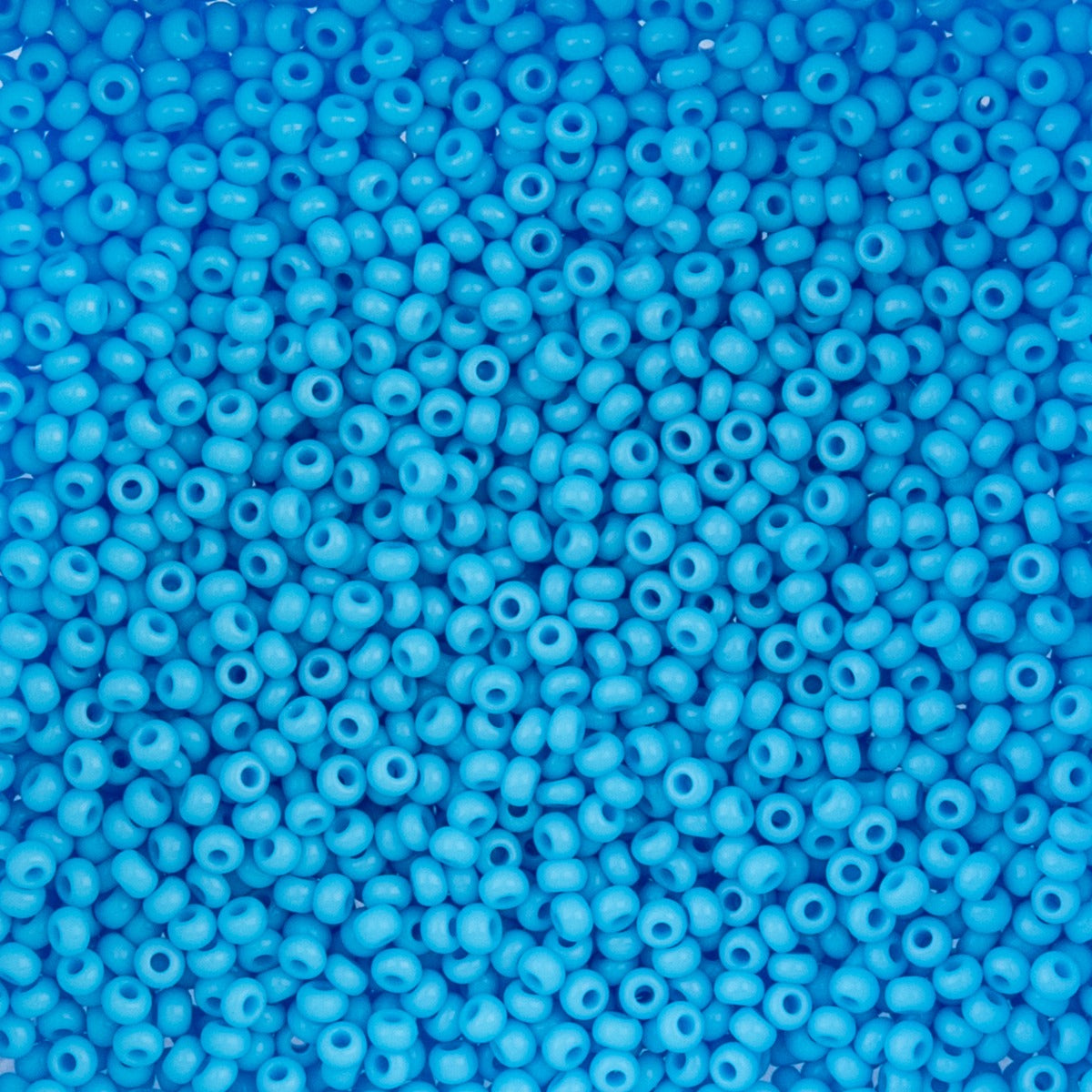 Czech Seed Beads 10/0 22g