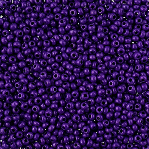 Czech Seed Beads 10/0 22g