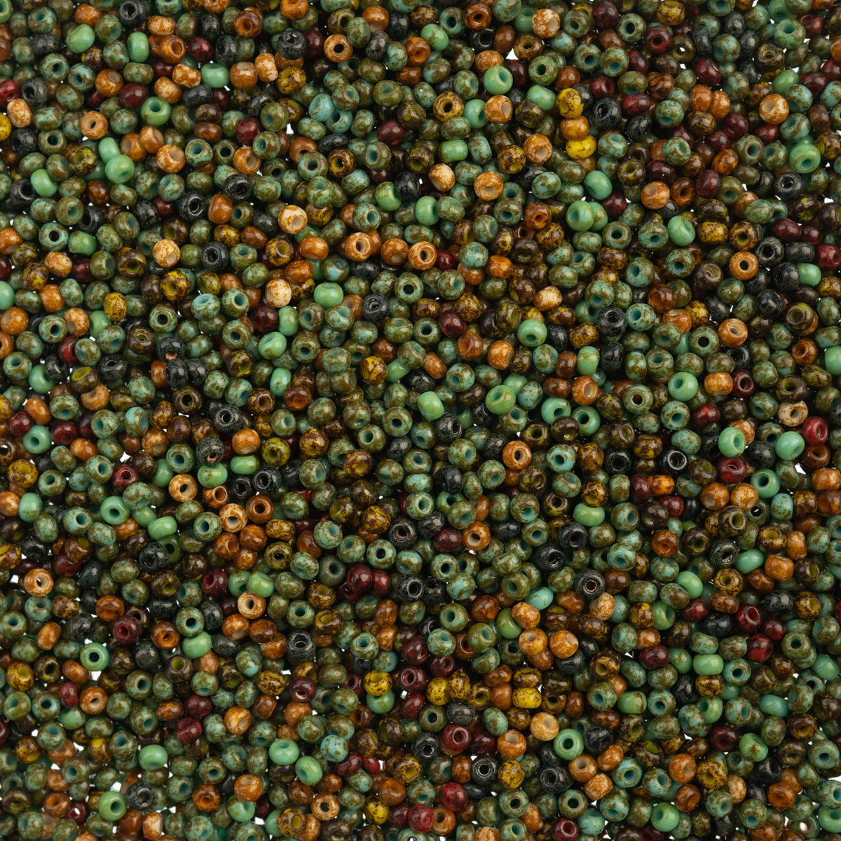 Czech Seed Beads 10/0 22g