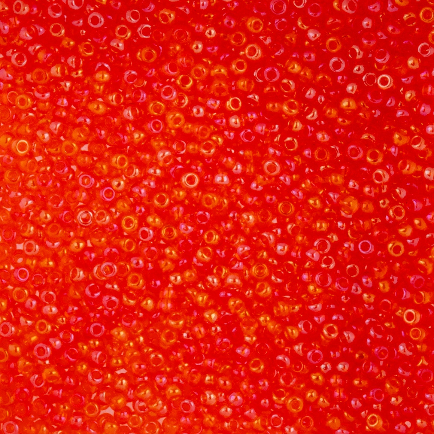 Czech Seed Beads 10/0 22g