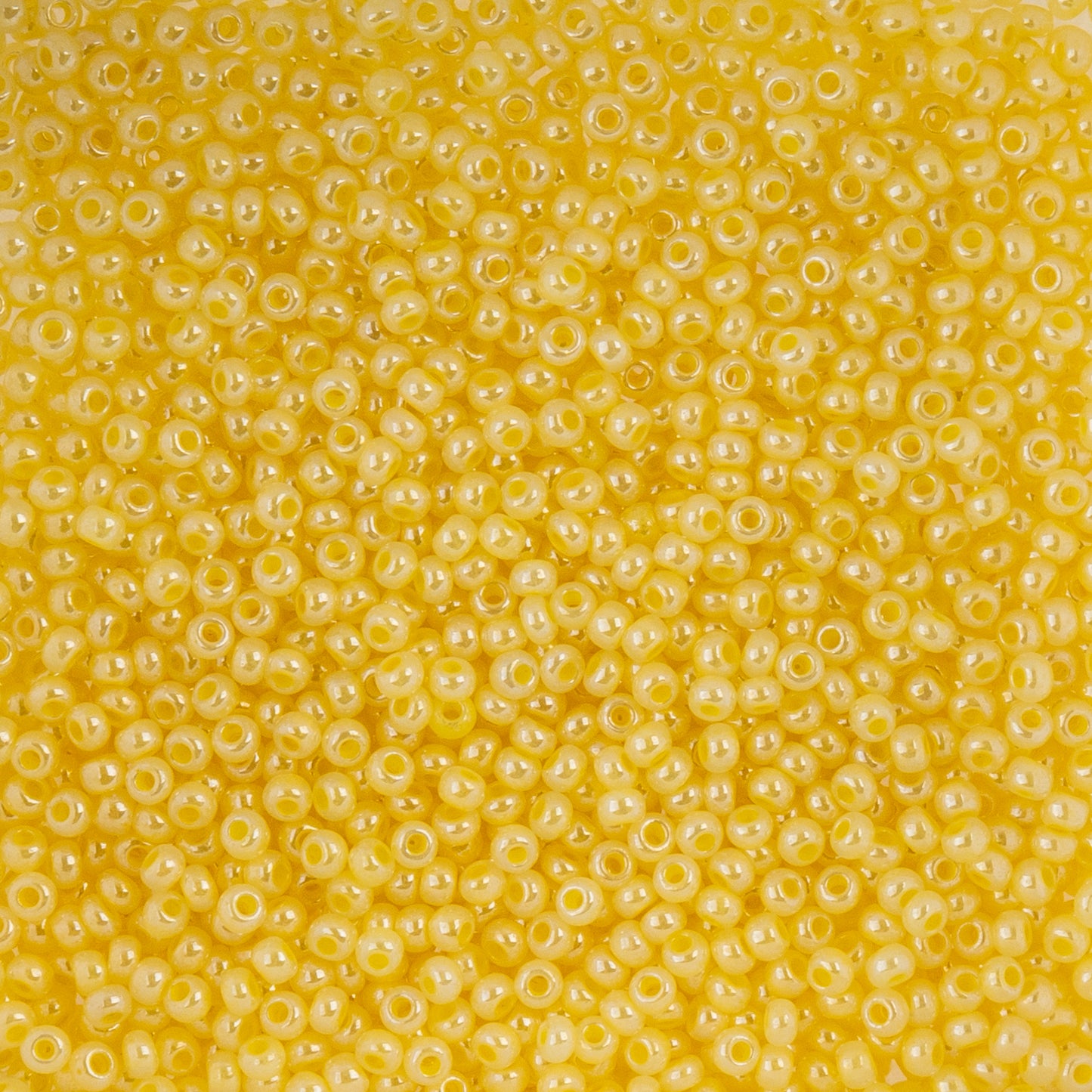 Czech Seed Beads 10/0 22g