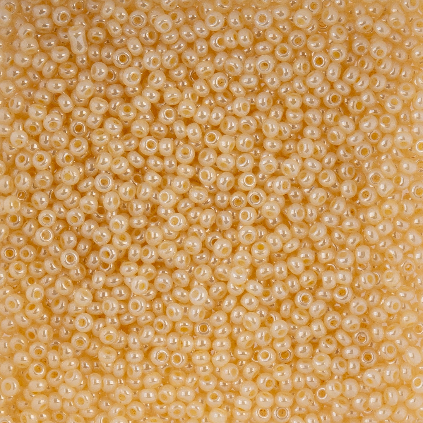 Czech Seed Beads 10/0 22g