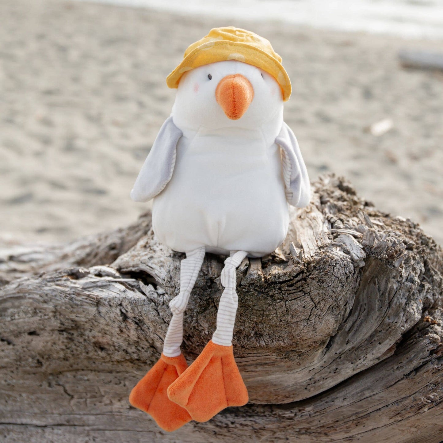 Bunnies By the Bay - Gulliver the Seagull