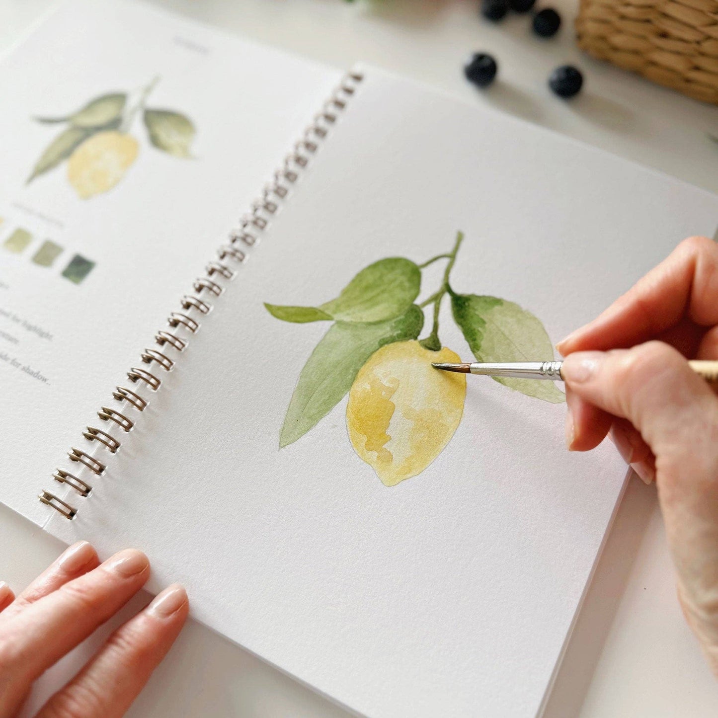 Emily Lex Studio - Watercolor Workbook Fruit