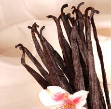 Herbal Apothecary : Vanilla (5ml) Essential Oil