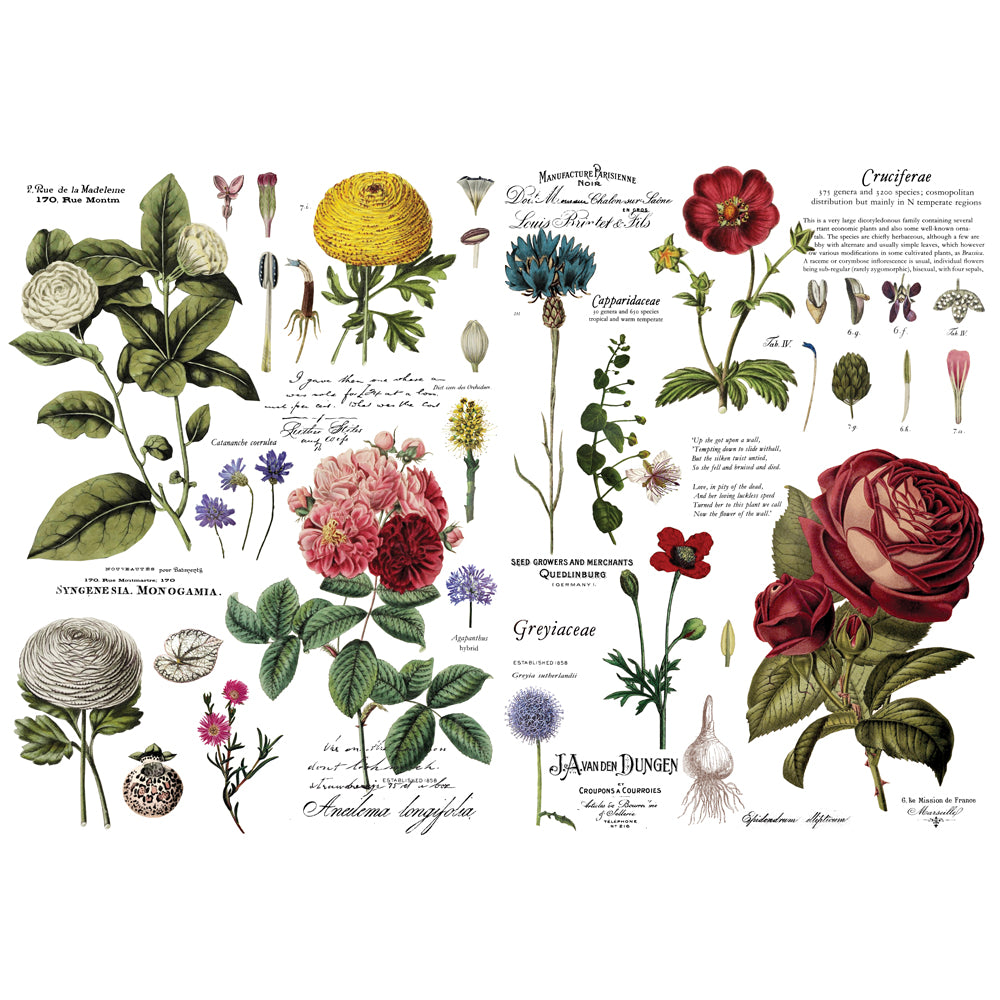 Re-Design With Prima® Decor Transfers - Vintage Botanical - 48x35" 6 sheets