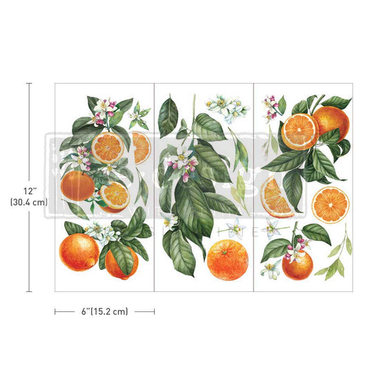Re-Design With Prima® Mini Transfer - Citrus Slices - 6x12", 3 Sheets