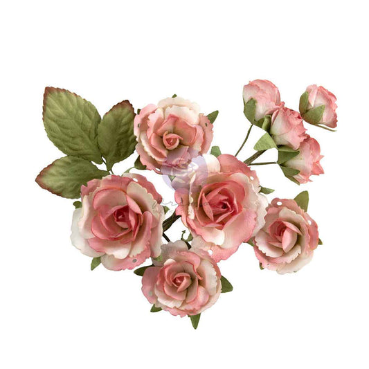 Prima Marketing - Homegrown Flowers, Garden Rose Blush 10pcs