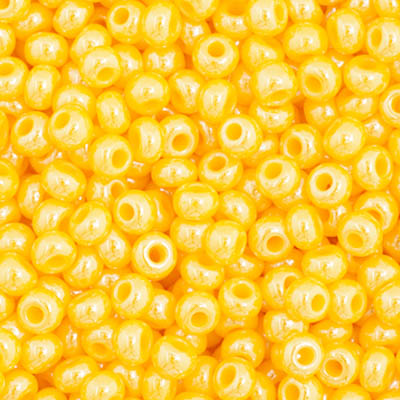 Czech Seed Bead 11/0 23g