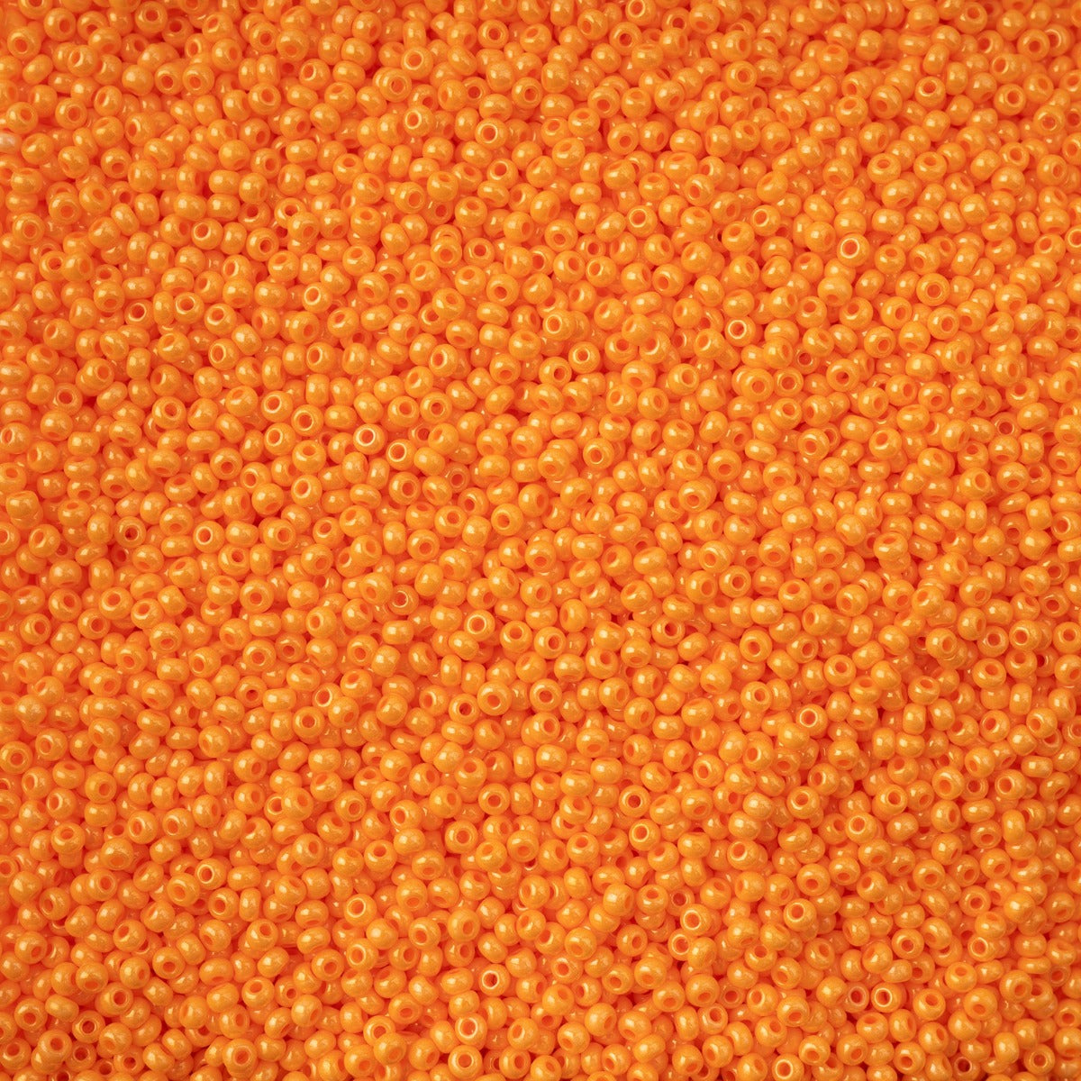 Czech Seed Bead 11/0 23g