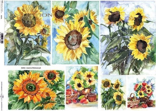ITD Collection Sunflower Frames A4