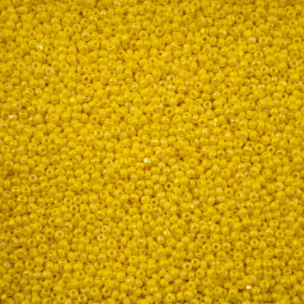 Czech Seed Beads 11/0 13g