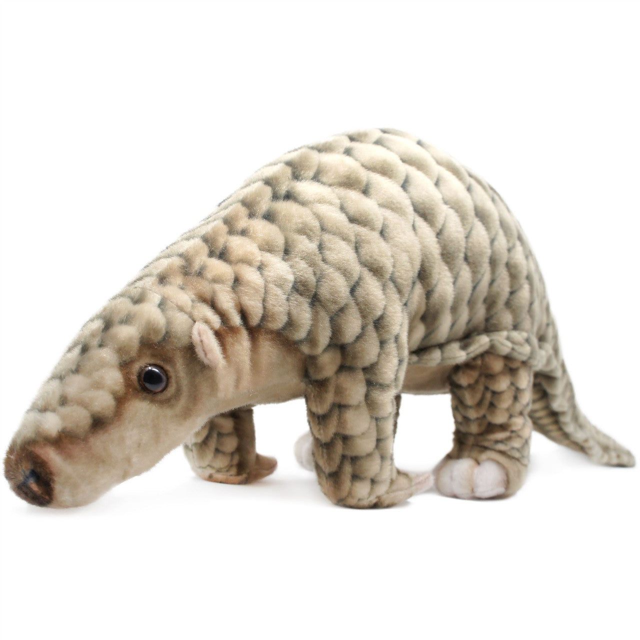 Pandy the Pangolin 30"