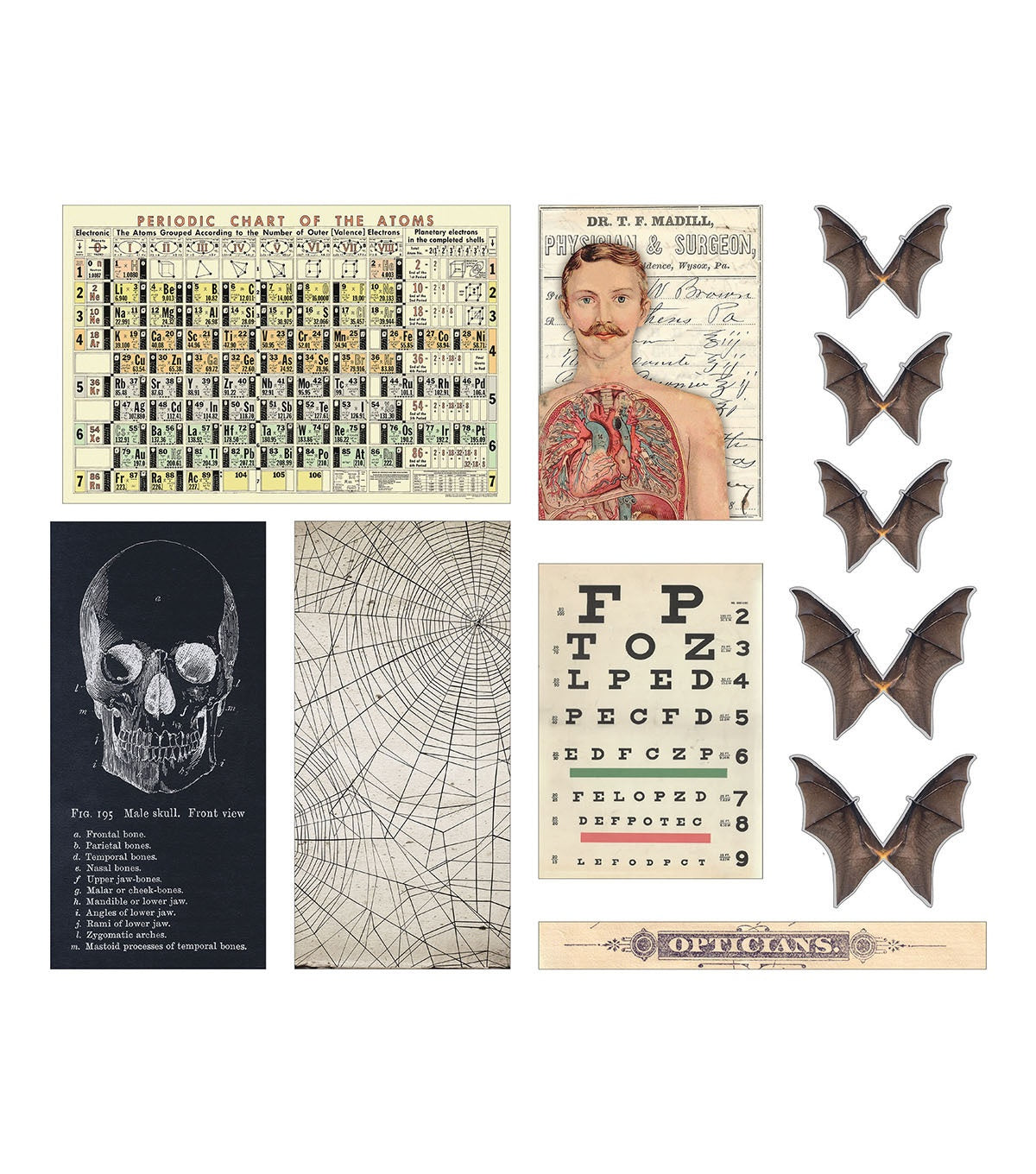 Tim Holtz - Idea-ology Transparencies 11pcs Halloween