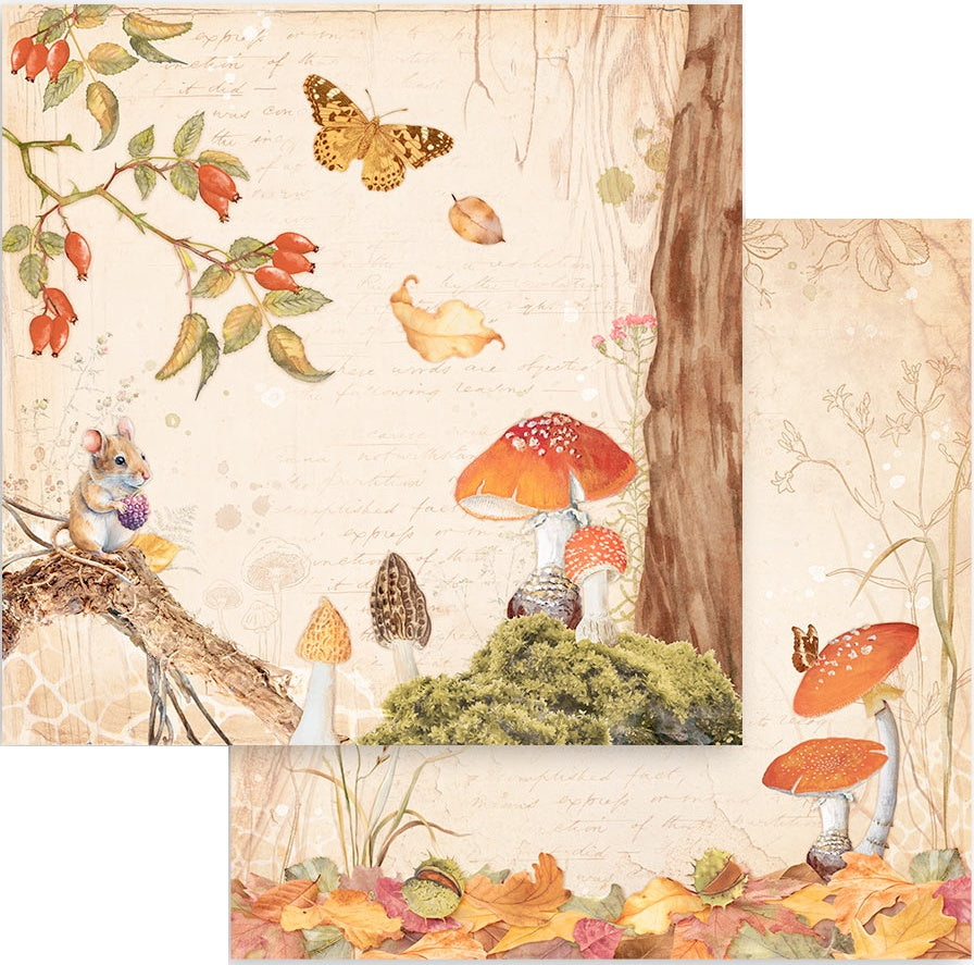 Stamperia ~ Woodland Collection