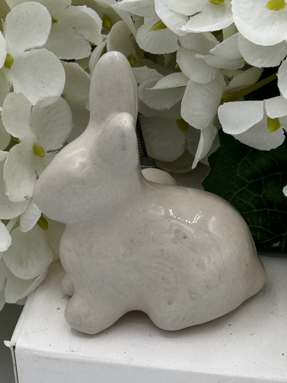 namic Rabbit Knob