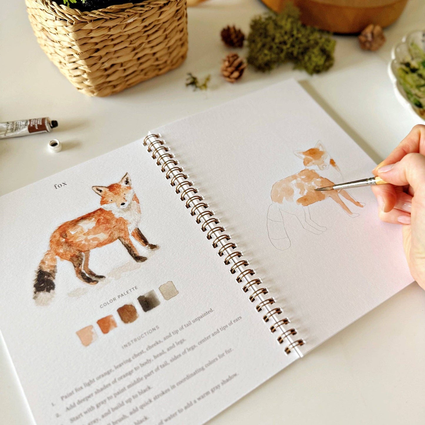 Emily Lex Studio - Watercolor Workbook Woodland