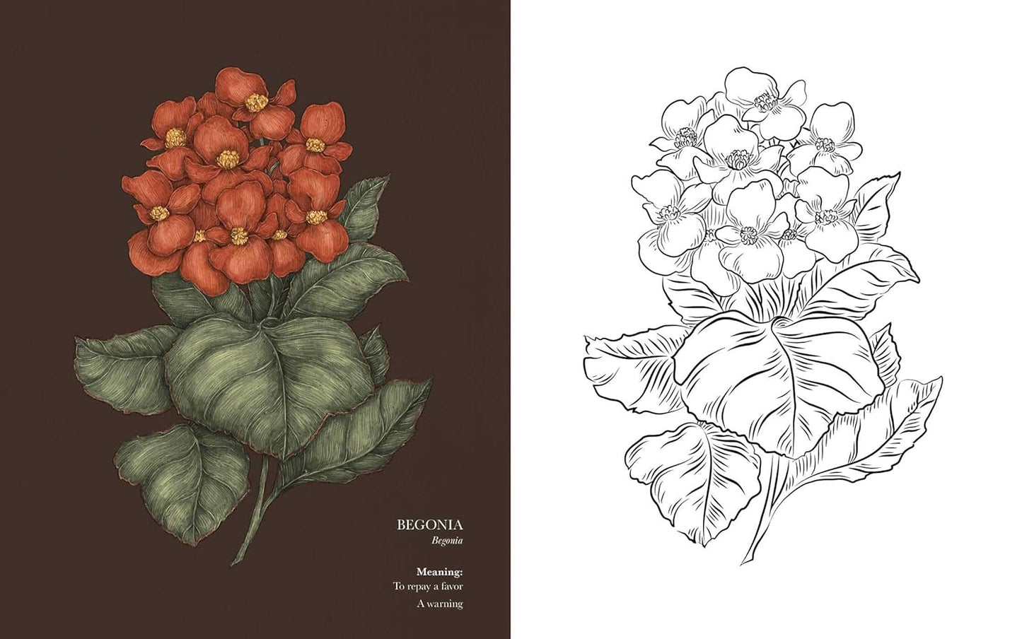 Floriography Coloring Book