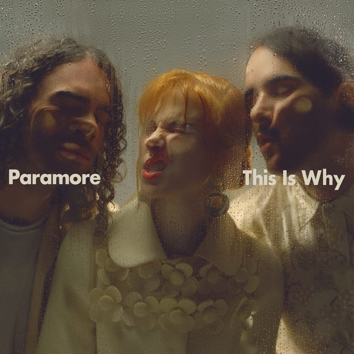 This Is Why - Paramore Vinyl
