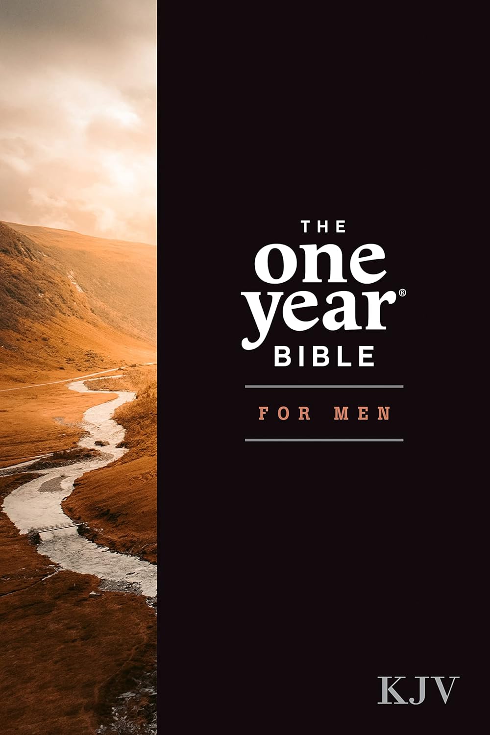 The One Year Bible for Men - Hardcover