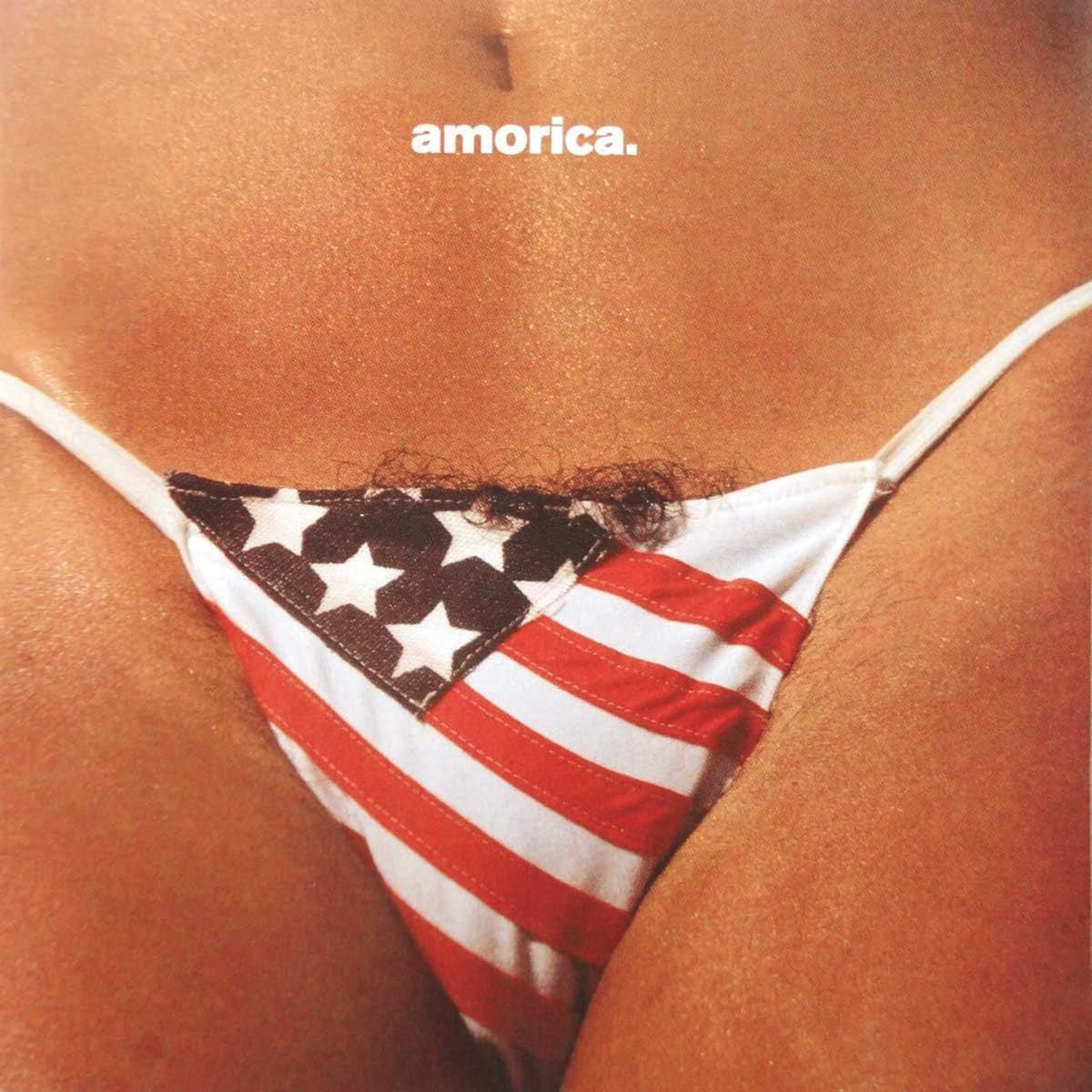 Vinyl Black Crowes Amorica
