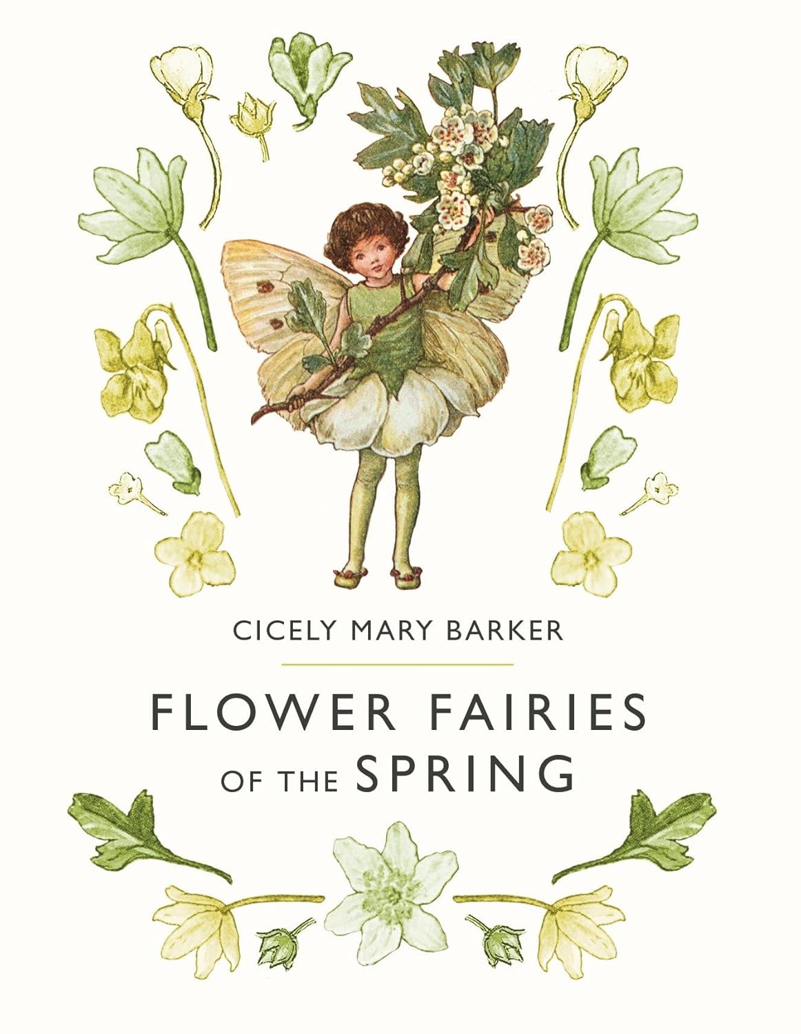 Flower Fairies Of The Seasons