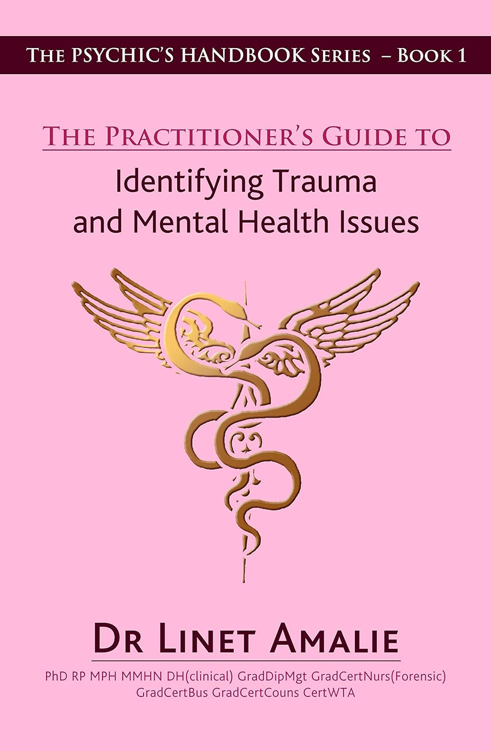 The Phychic's Handbook Series - Book 1 : The Practitioner's Guide to Identifying Trauma and Mental Health Issues