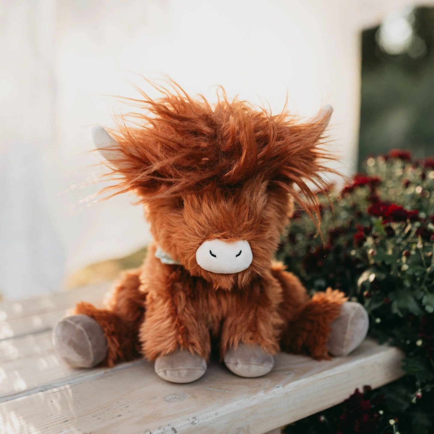 Bunnies By the Bay - Hamish the Highland Cow