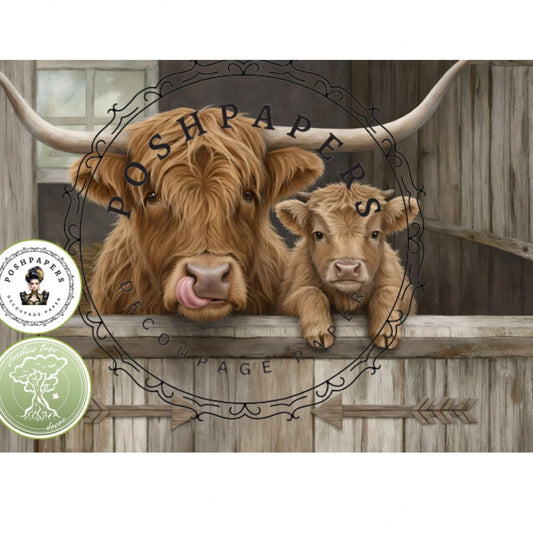 Posh Papers A4 Highland Cows Barn