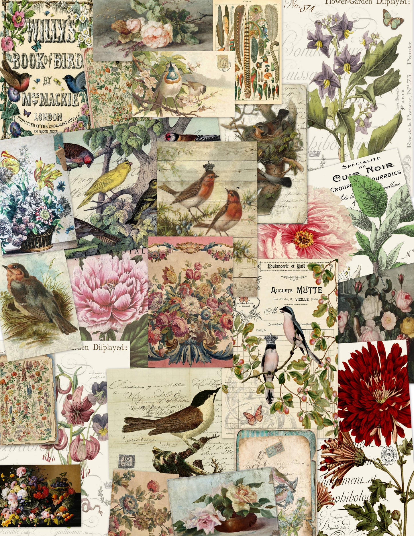 Monahan Papers - Birds, Nests & Florals Papers 11x17"