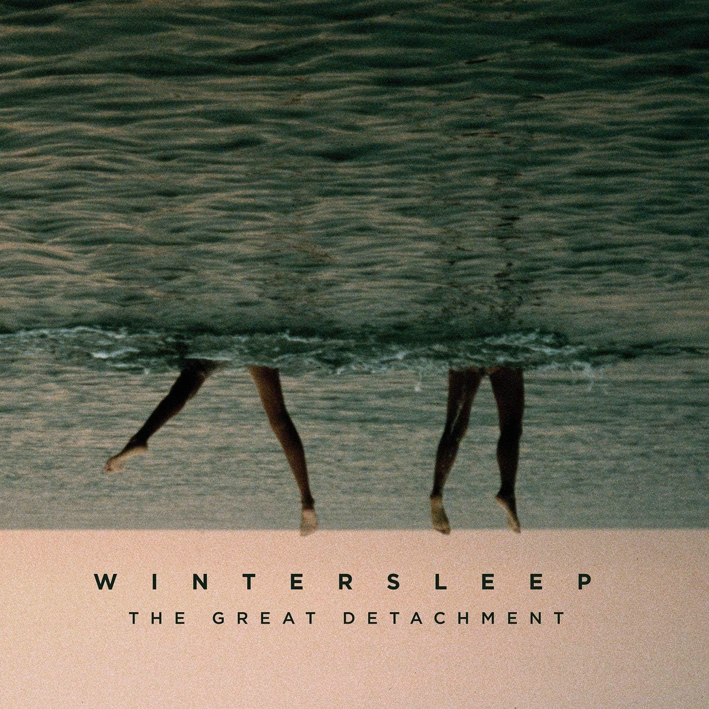 The Great Detachment - Wintersleep
