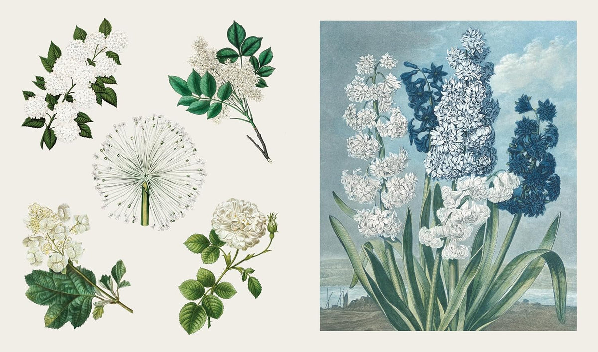 The Sticker Treasury of  Blooms and Butterflies