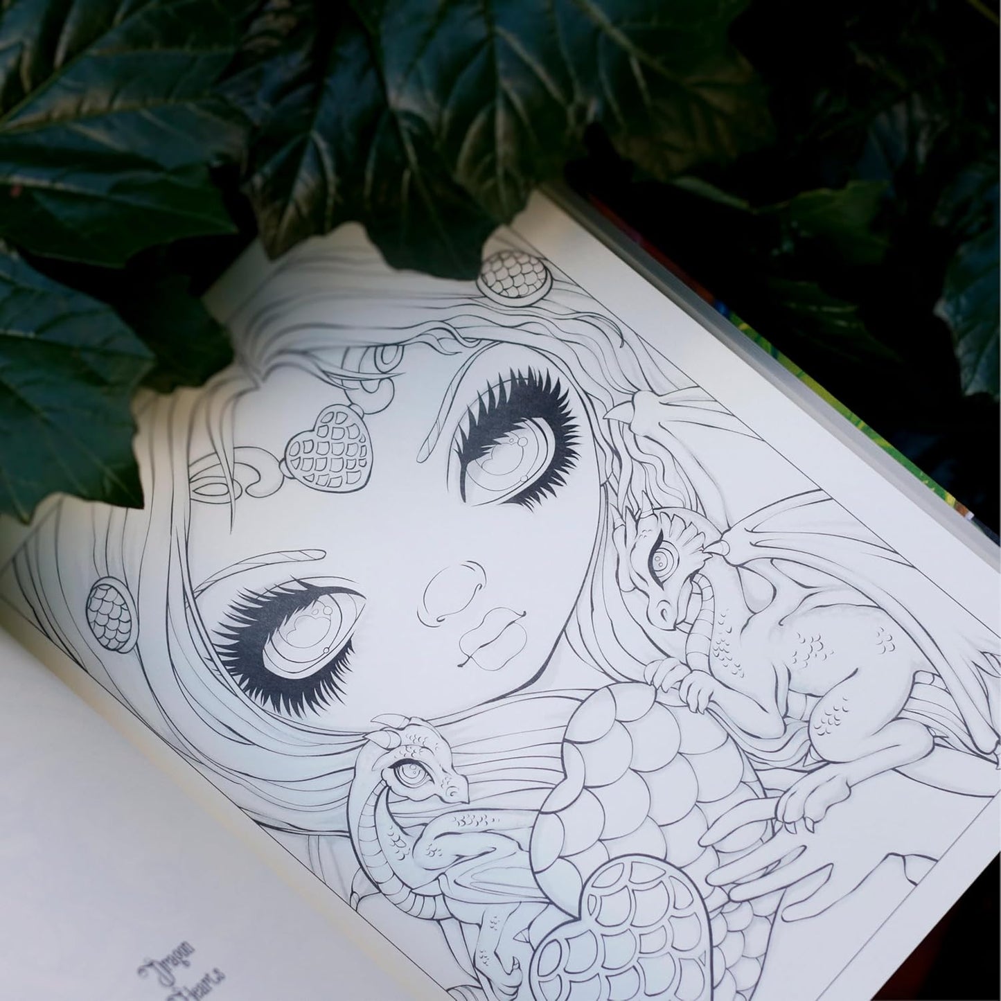 Dragonling Colouring book