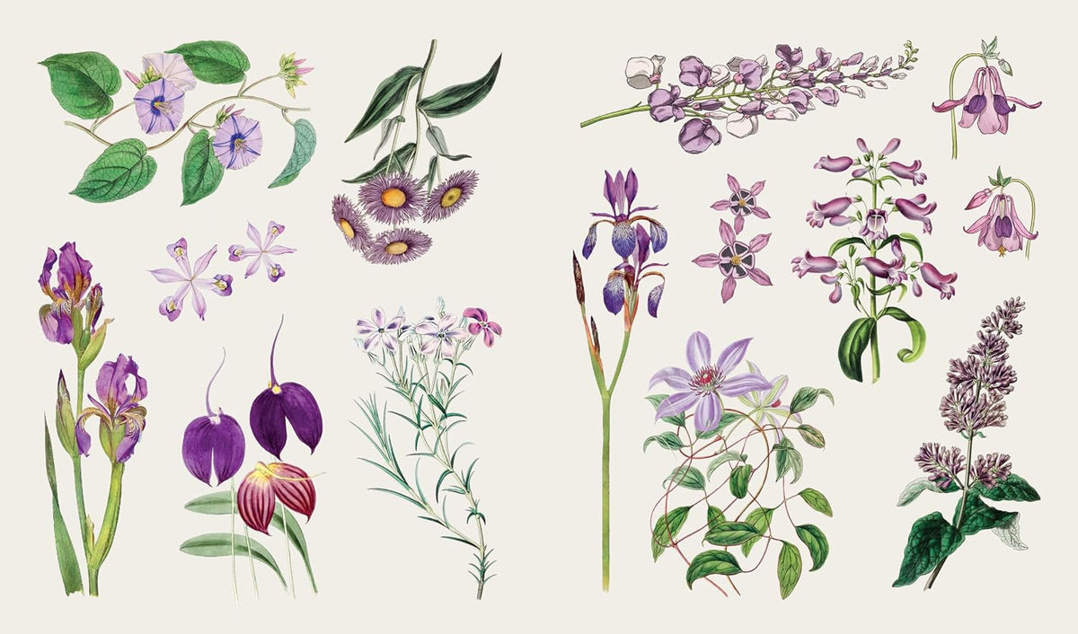 The Sticker Treasury of  Blooms and Butterflies