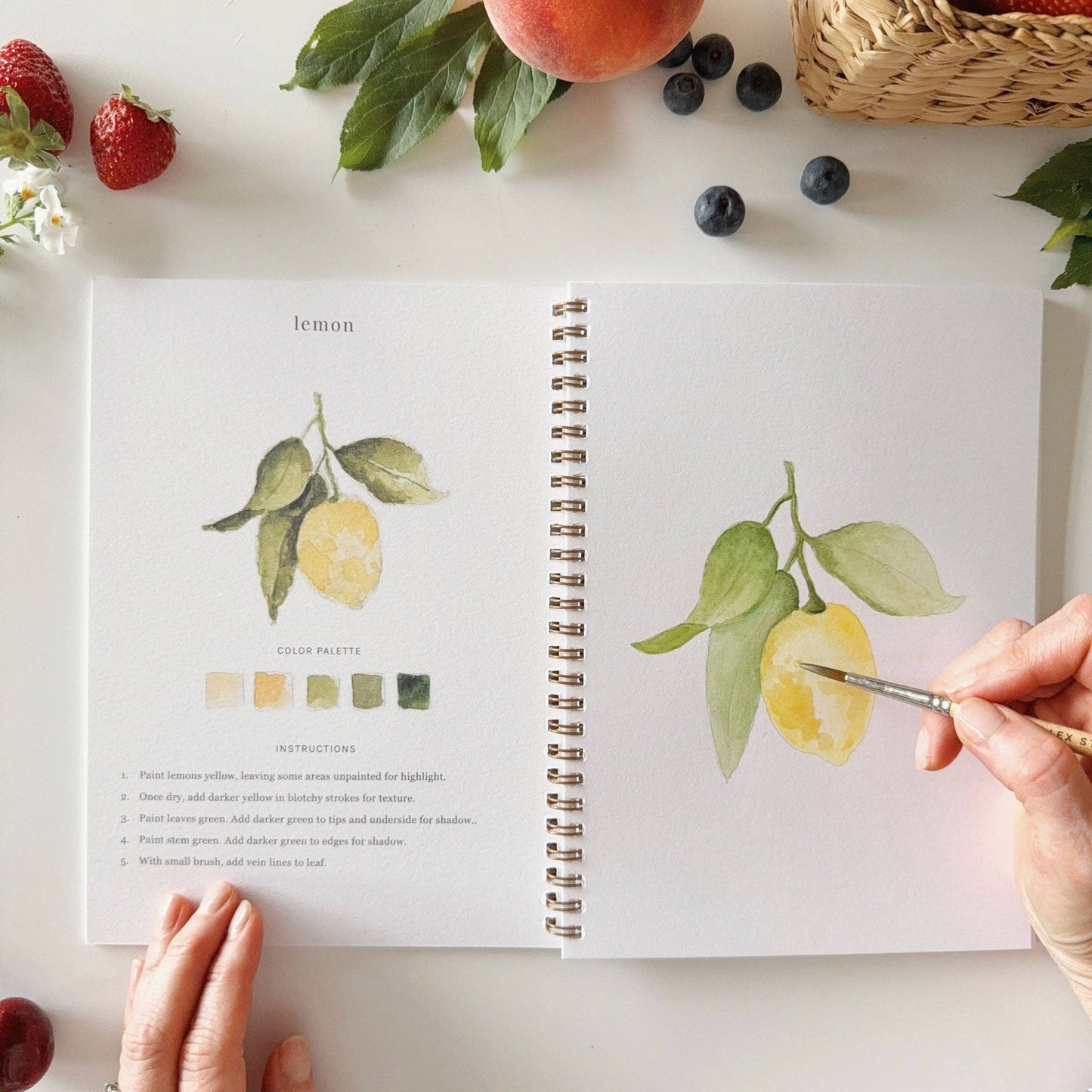 Emily Lex Studio - Watercolor Workbook Fruit
