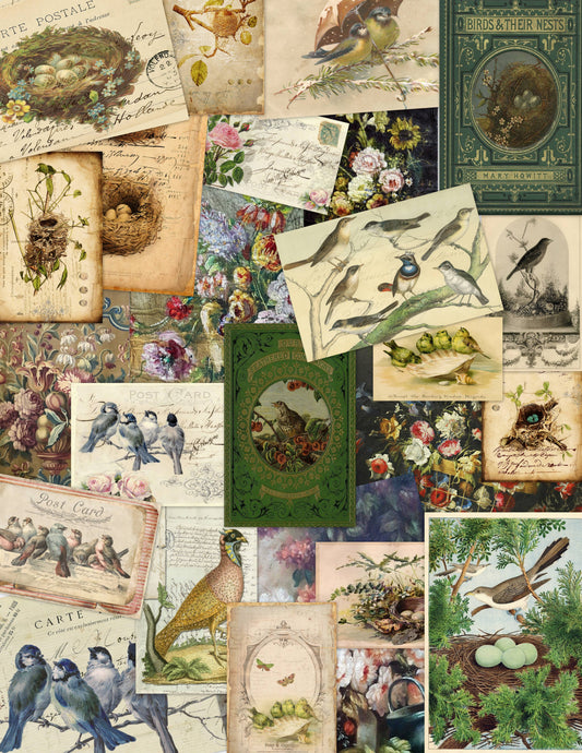 Monahan Papers - Birds, Nests & Florals Papers 11x17"