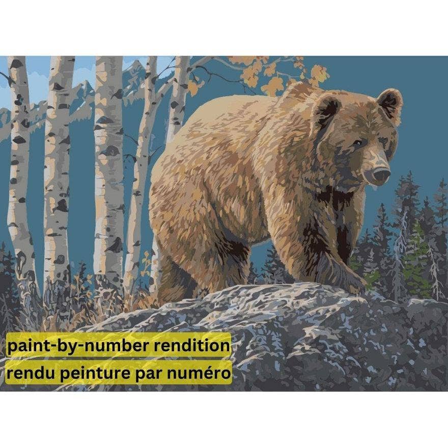 Diamond Brands - PAINT-BY-NUMBER KIT Aspen Mountain Grizzly by Jeff Hoff